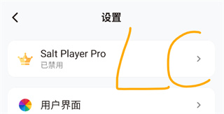 椒盐音乐播放器