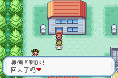 口袋妖怪火红版截图3