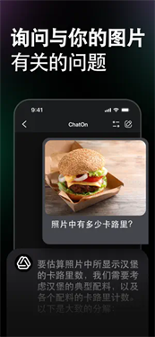 ChatOn截图4