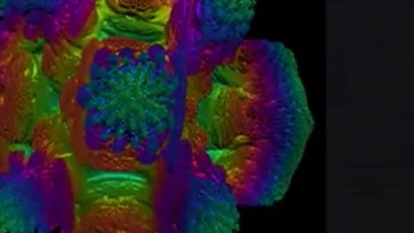 Volumeshaderbm截图1