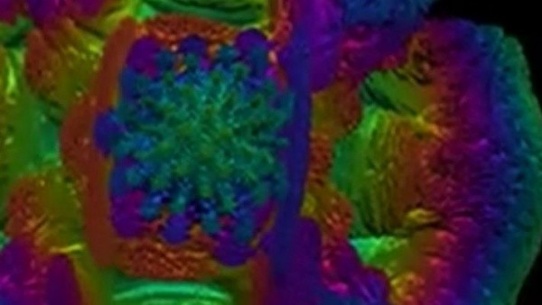 Volumeshaderbm截图2