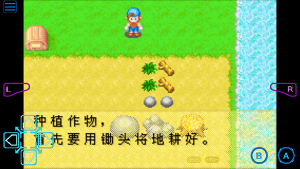 牧场物语矿石镇的伙伴们截图2