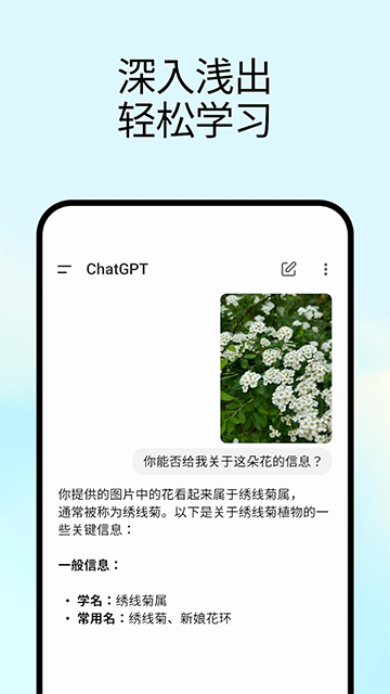 GPTChat截图3