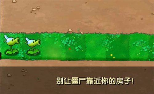 植物大战僵尸寒冰版