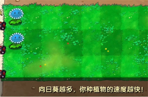 植物大战僵尸寒冰版