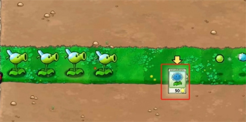 植物大战僵尸寒冰版