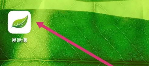 易哈佛app怎么创建小组 创建小组方法