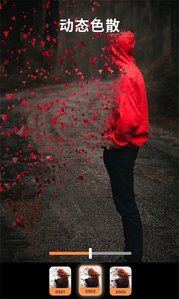 Enlight Photoloop截图3