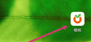 橙啦app如何学习英语 学习英语方法