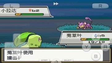 口袋妖怪心金魂银截图0