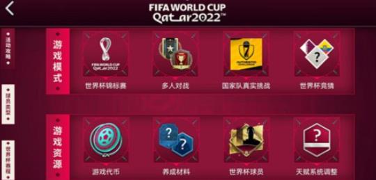 FIFA世界杯