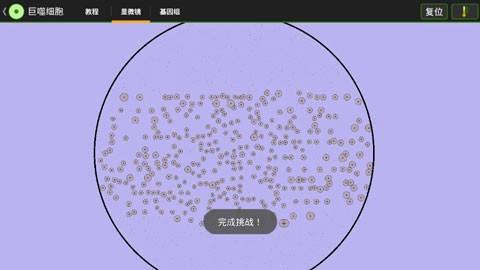 细胞实验室全解锁版截图4