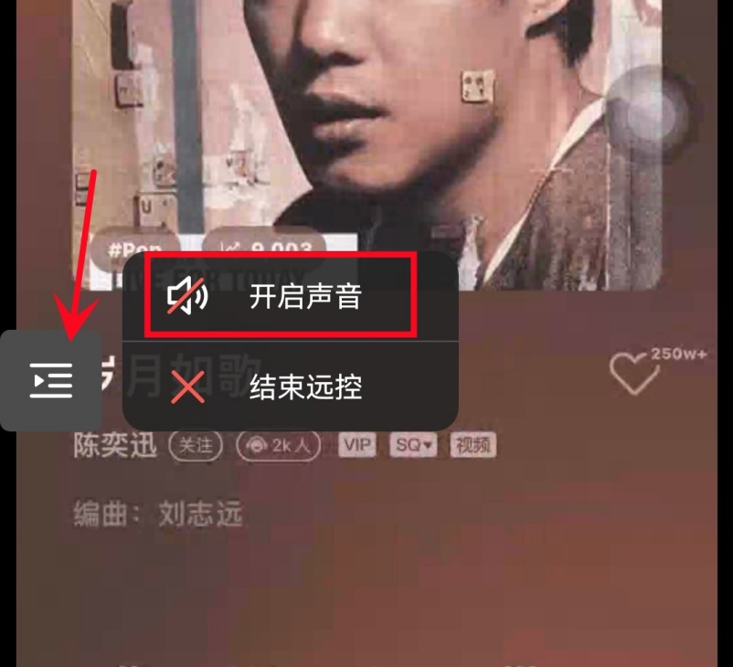 todesk远程可以听到声音吗