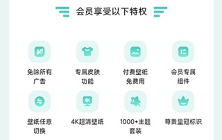 蜻蜓壁纸如何开通会员