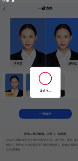旗帜照片处理工具