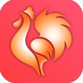 大公鸡七星彩(老版)