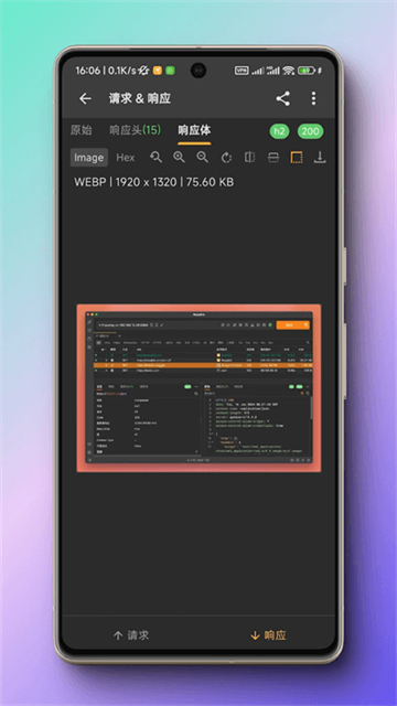蓝鸟抓包老版本截图4