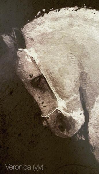 Glaz安卓版截图4