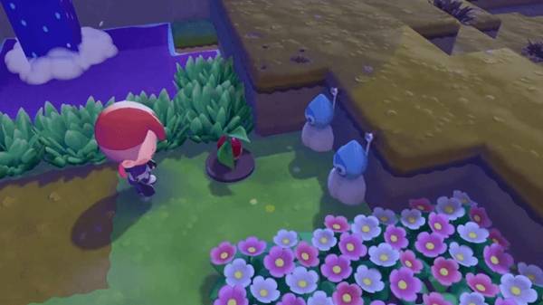 宝可梦Pokopia湿度怎么提高 栖息地湿度提高攻略