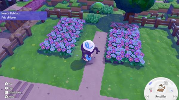 宝可梦Pokopia湿度怎么提高 栖息地湿度提高攻略