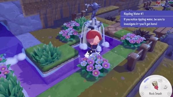 宝可梦Pokopia湿度怎么提高 栖息地湿度提高攻略