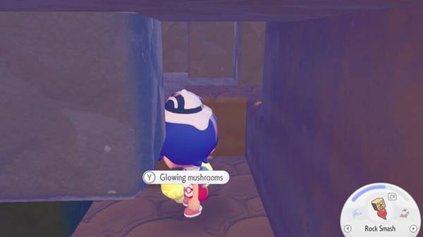 宝可梦Pokopia亮度降低怎么降低  栖息地亮度降低方法