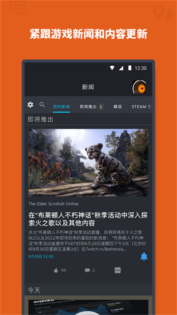 steam截图3