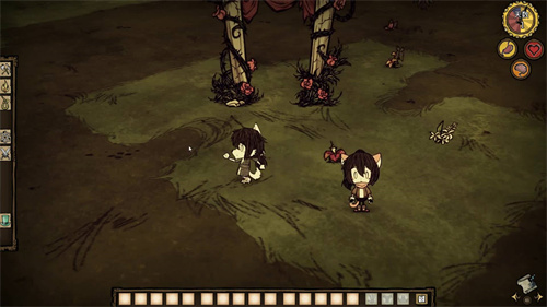 Dont Starve