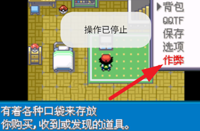 口袋妖怪圣灰汉化版