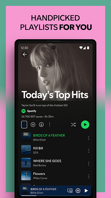 Spotify中文版截图3