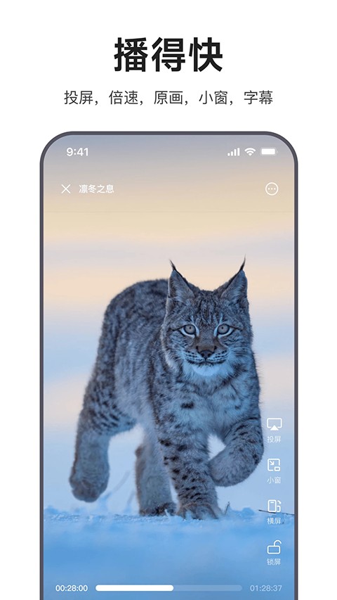 迅雷浏览器安卓版截图3