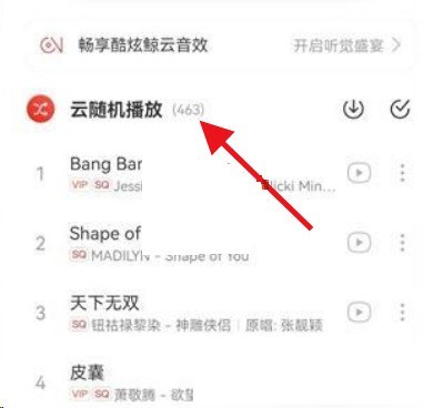 网易云音乐怎么关闭云随机 云随机关闭教程