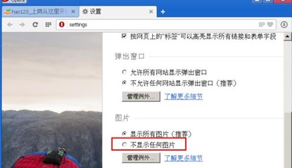 Rains浏览器轻量版