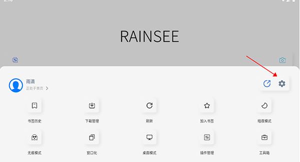 Rains浏览器轻量版