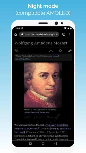 kiwi浏览器旧版截图3