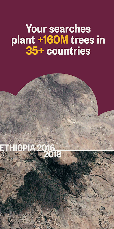 Ecosia浏览器截图3