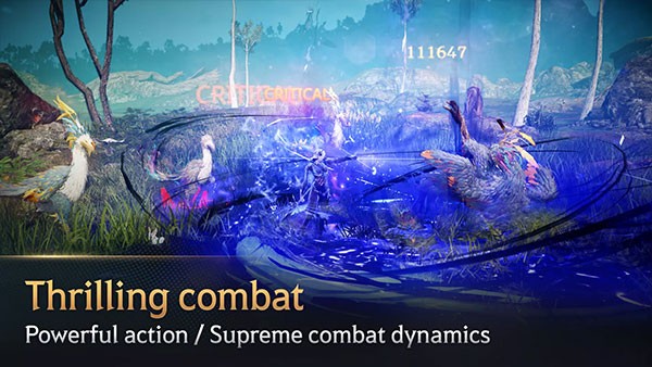 黑色沙漠手机版截图1