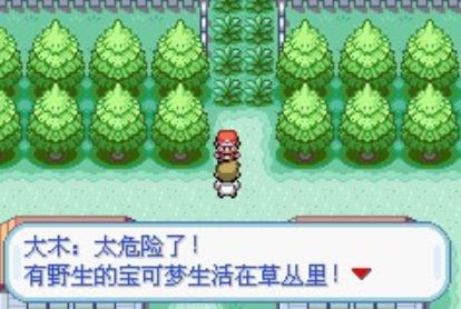 口袋妖怪火红金手指版