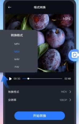 口袋视频转换器