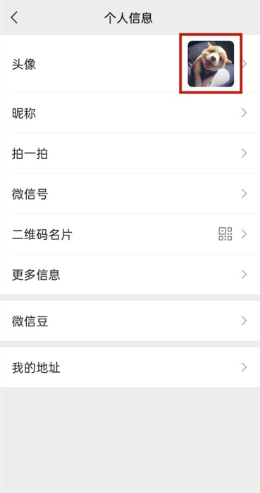 微信怎么查找历史头像记录 历史头像记录查看教程