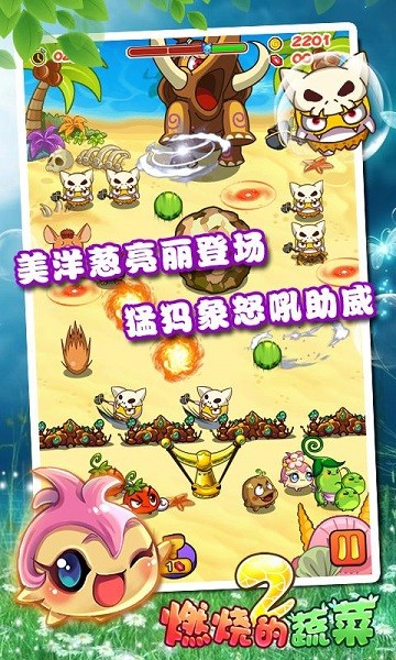 燃烧的蔬菜2经典版截图3
