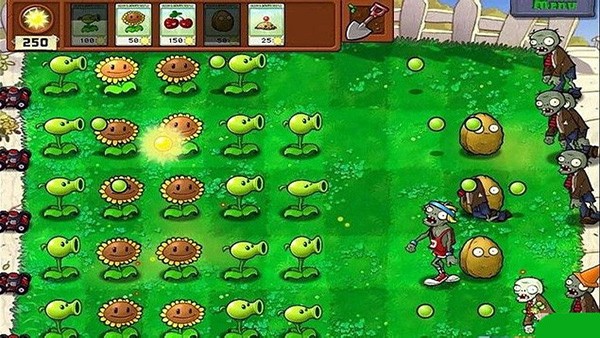 植物大战僵尸2010版截图2