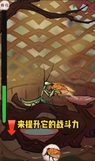 极品螳螂