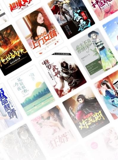 闪爵小说截图2