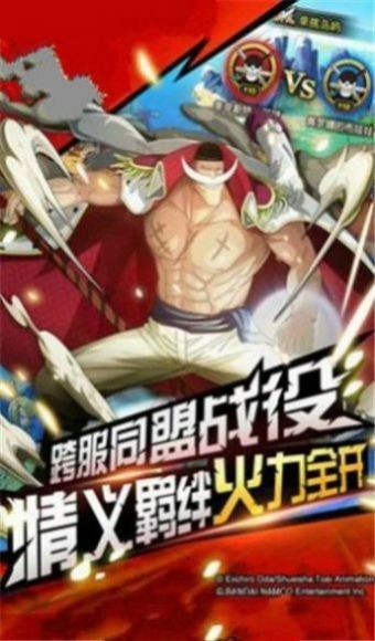 BVN海贼王截图3