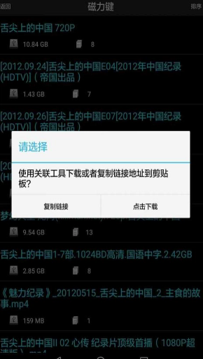 p2p种子搜索器