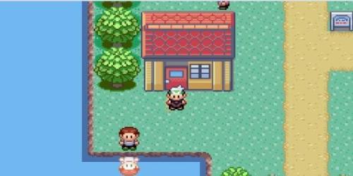 口袋妖怪小智版