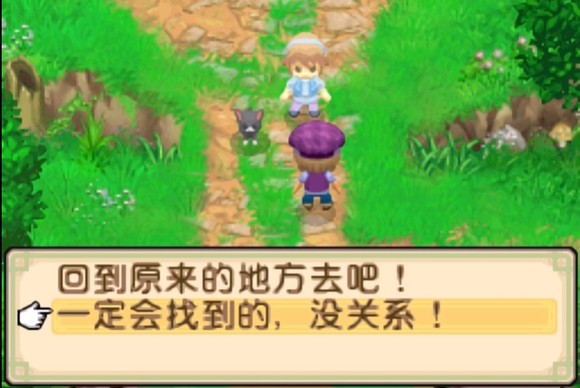 牧场物语双子村截图1