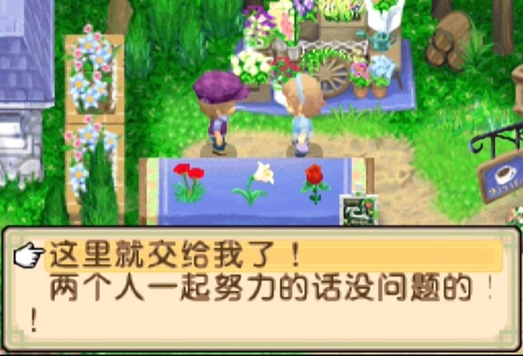 牧场物语双子村截图2