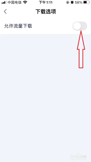 爱奇艺极速版如何设置允许流量下载